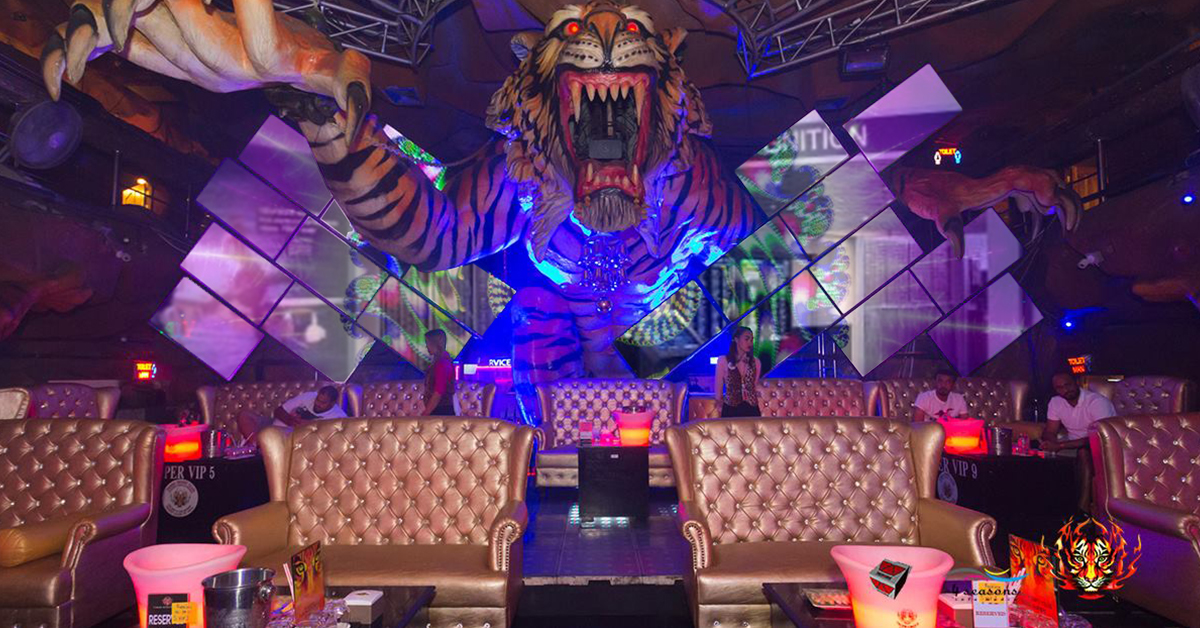 Video mural artístico en el salón del Tiger Night Club, con un gran tigre en el centro de las paredes, y zona de asientos delante