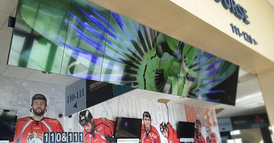 Pared de vídeo colgante en el Silverstein Arena que muestra una foto de una flor, con jugadores de hockey expuestos en una pared detrás de ella